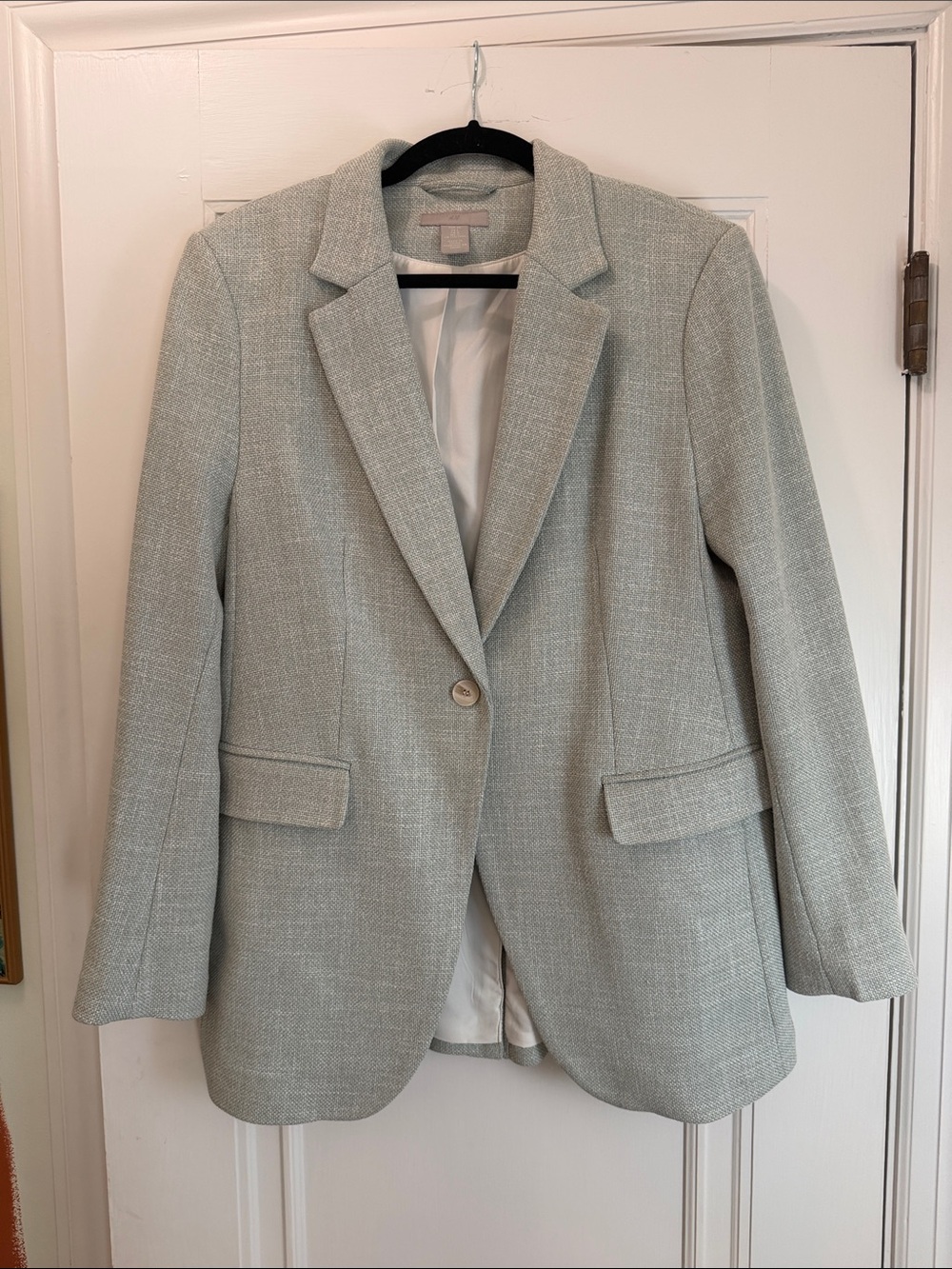 H&M Light Sage Tweed Single-Button Blazer
